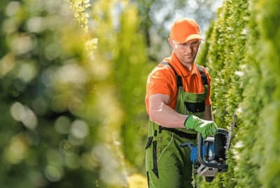 impresa giardinaggio